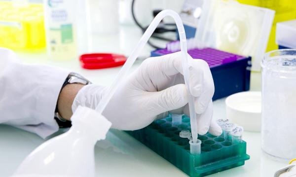 Une Nouvelle Piste dans la Lutte Contre le Cancer