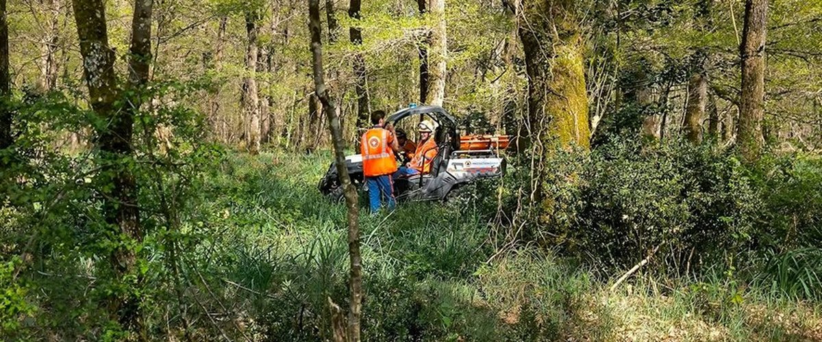 Disparition inquiétante d’une joggeuse de 28 ans en Vienne: une vaste opération de recherche est lancée