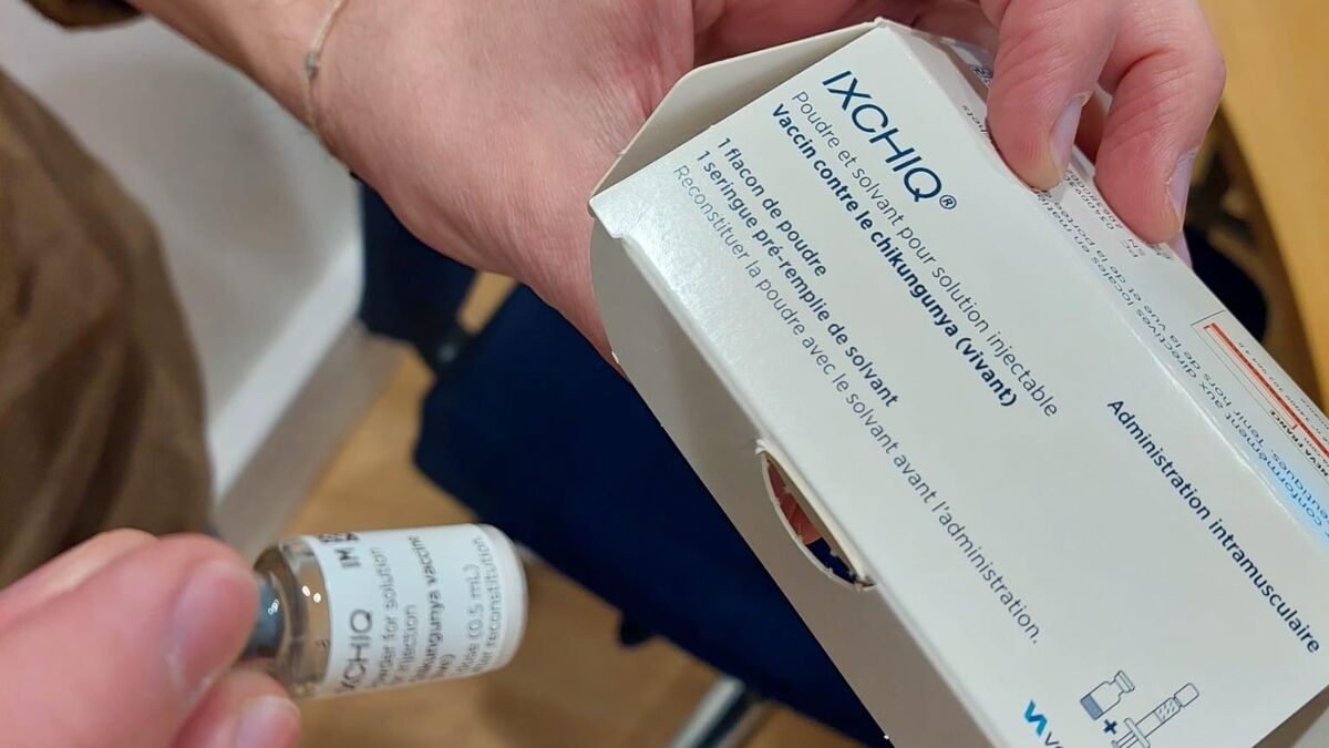 Suspension de la vaccination contre le chikungunya pour les seniors en France