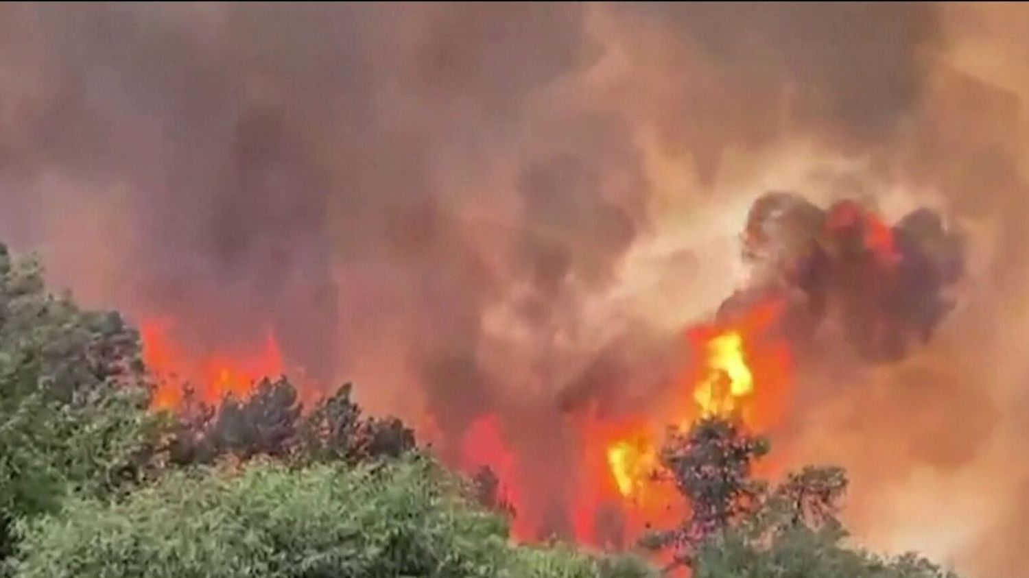 Incendies majeurs aux abords de Jérusalem : Israël déclenche son niveau d’alerte maximal