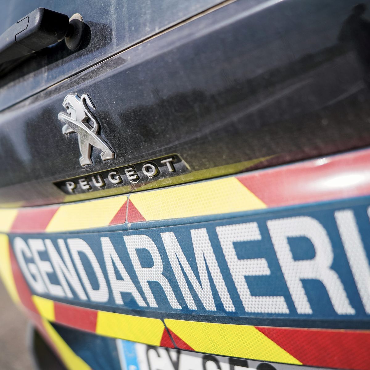 Les autorités condamnent l’exploitation criminelle d’un réseau illégal de dons sauvages de gamètes