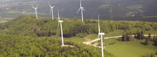 Les associations écologistes dénoncent la France devant l’Union européenne pour des procédures d’éoliennes