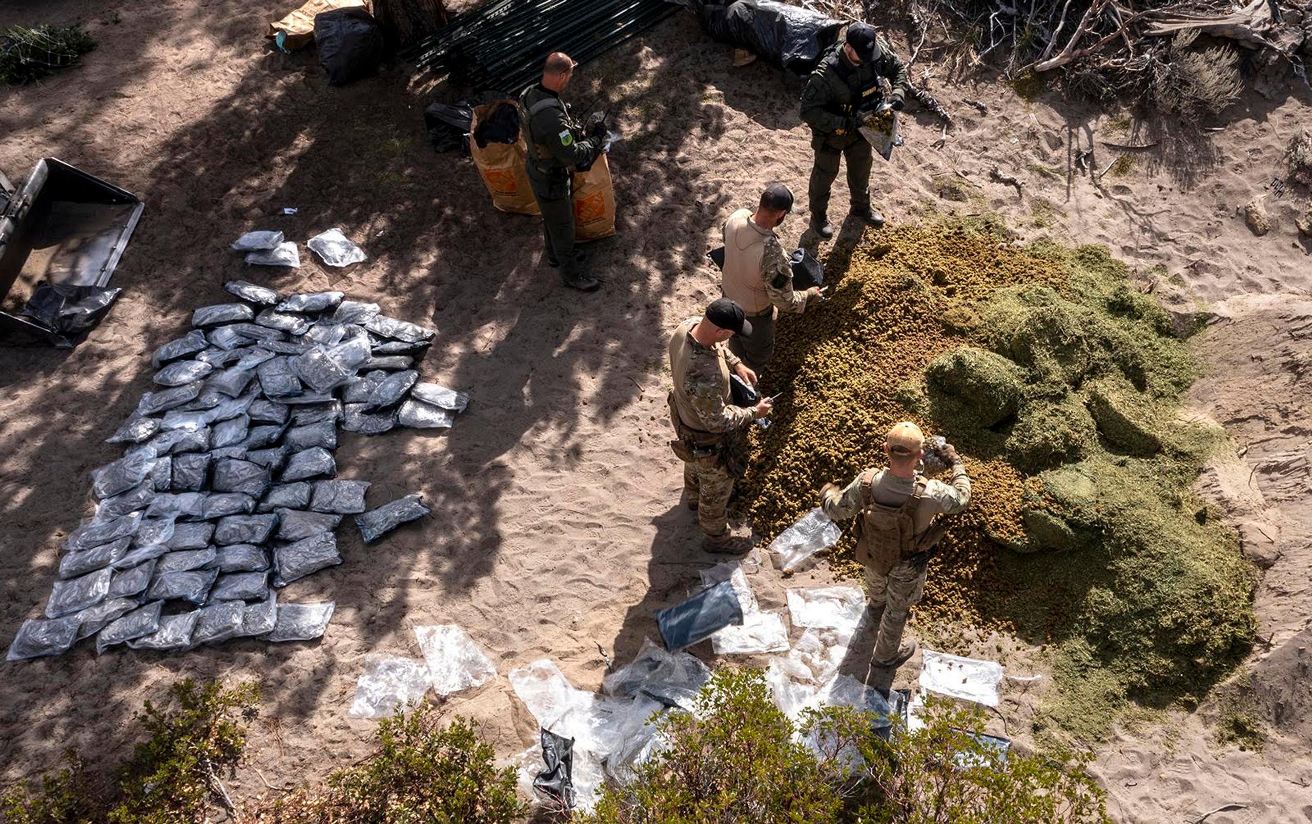 Enfants exploités dans les plantations de marijuana : une tragédie qui secoue la Californie