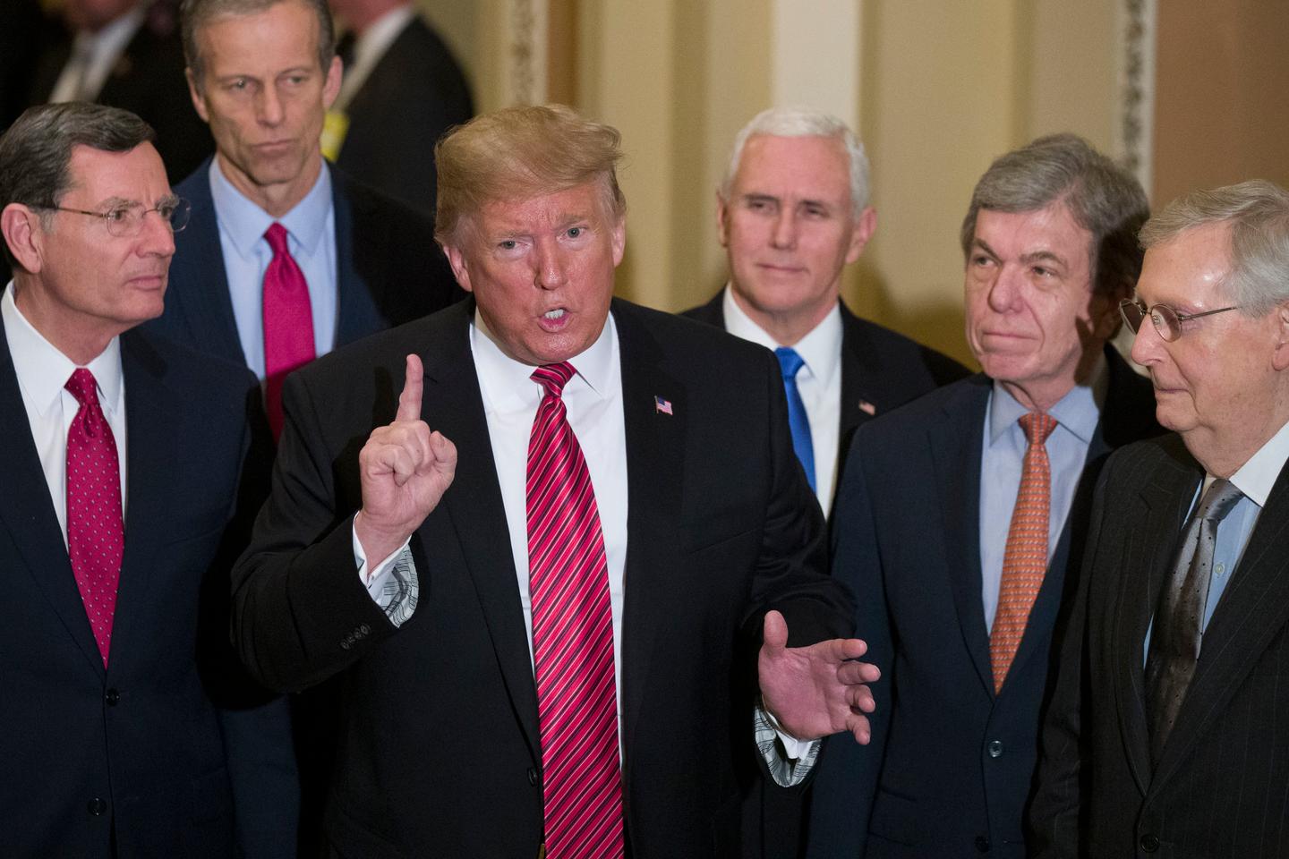 Les électeurs de Trump : une division profonde dans l’opinion publique française
