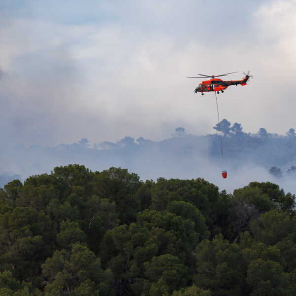 Incendies : l’Europe en flammes, un million d’hectares détruits en 2025