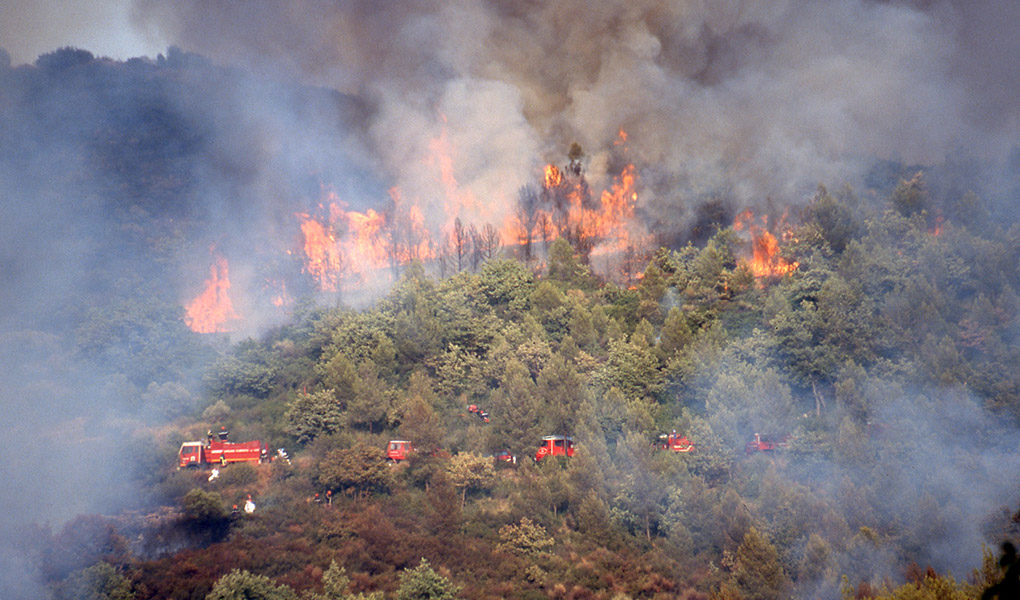 Incendies : une menace constante pour la moitié sud de la France