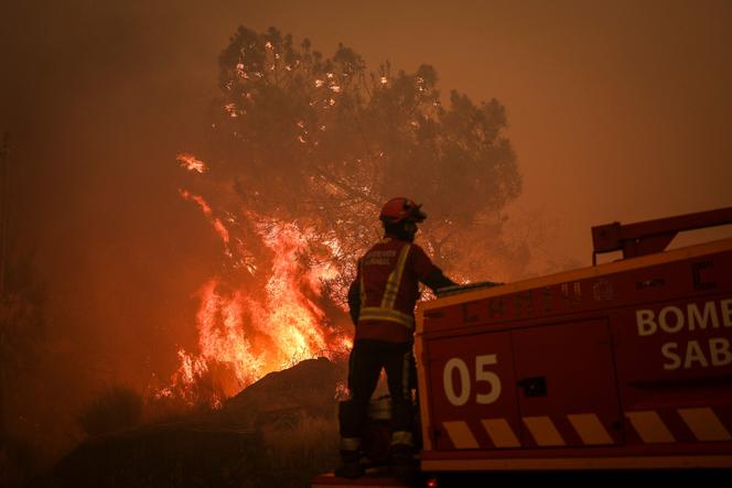 Incendies dévastateurs : deux pompiers tués en Espagne et au Portugal