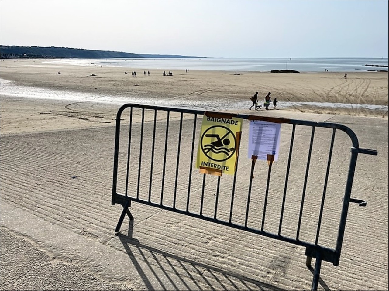 132 contraventions pour baignade interdite dans la Seine : une augmentation inquiétante