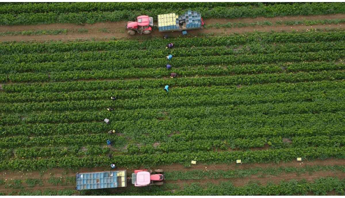 Des criminels organisés s’emparent d’équipements agricoles précieux en France, entraînant l’arrestation de trois individus