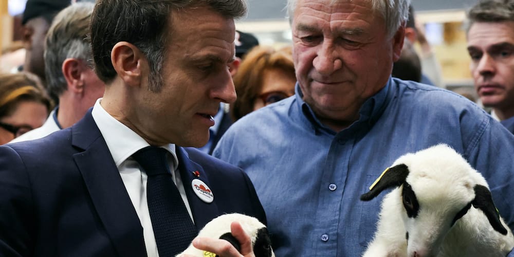 Les agriculteurs français dénoncent les importations et l’accord Mercosur, accablant Macron