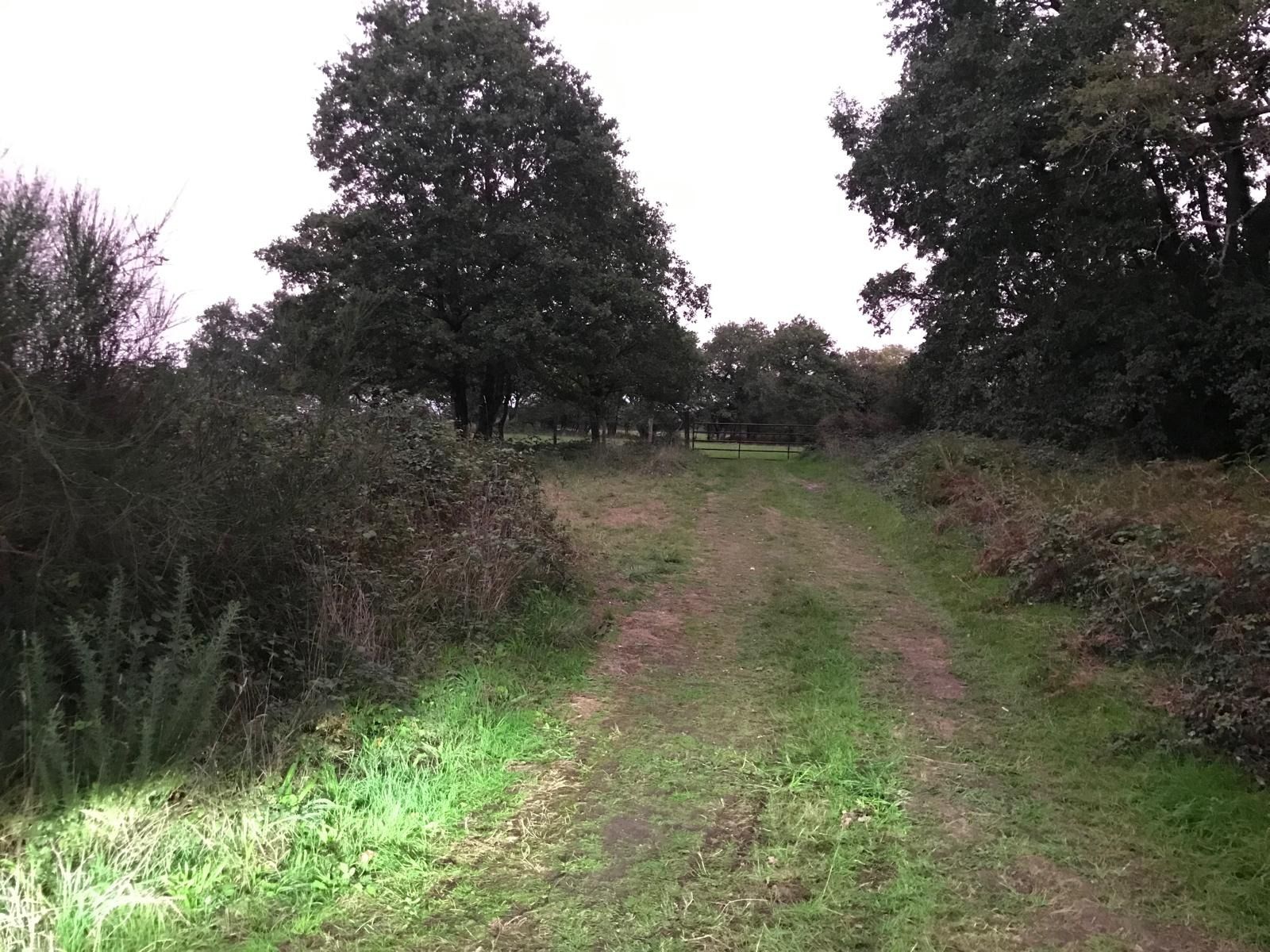 Traque désespérée pour un adolescent enlevé dans l&rsquo;ouest de la France