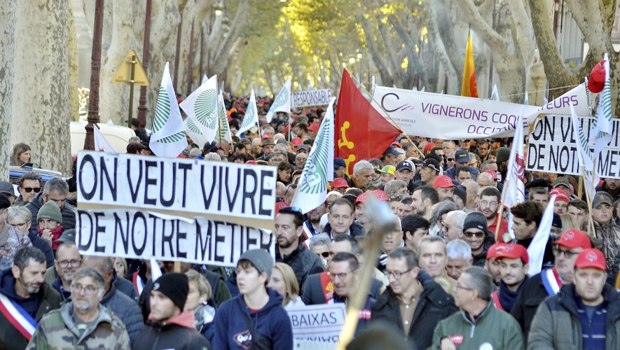 Révolte des vignerons du Midi : alerte rouge !!!