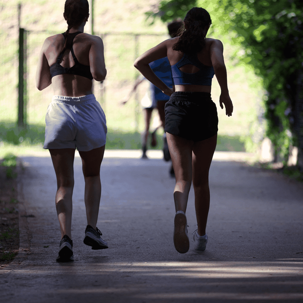 Un mystère résolu : le « violeur au tournevis » de Poitiers démasqué par l&rsquo;ADN