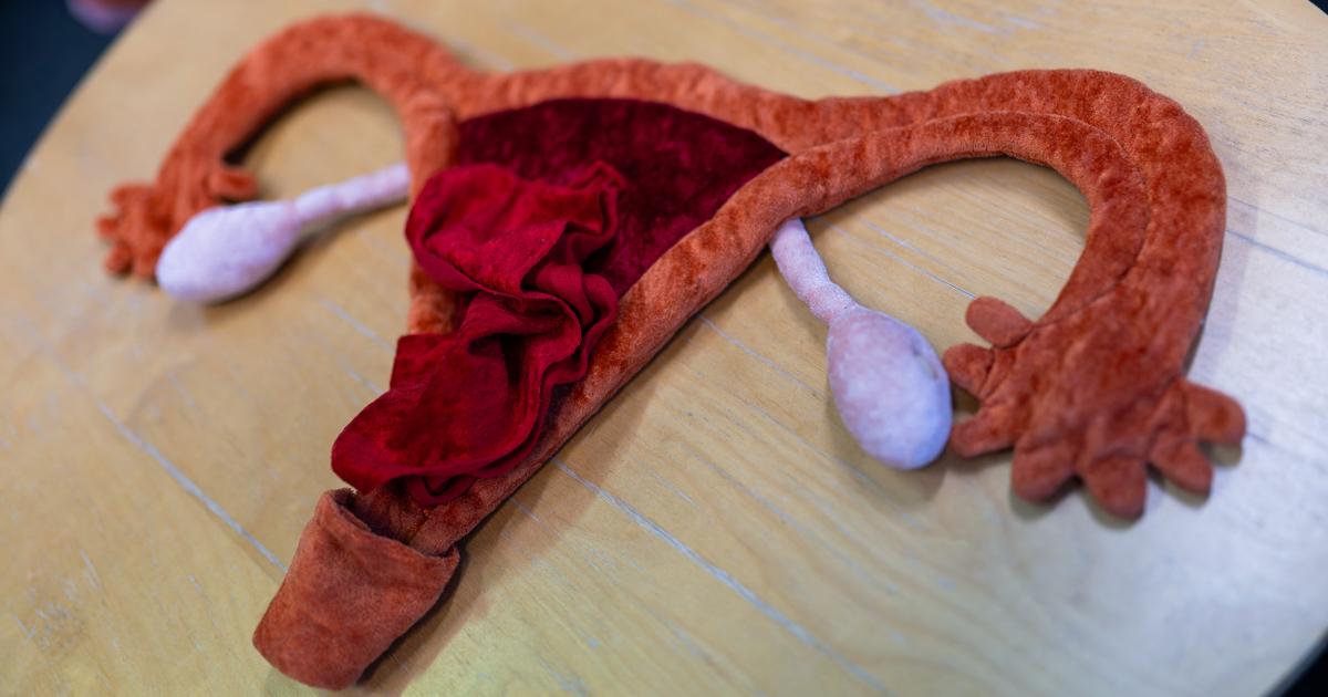 La République Italienne impose une nouvelle loi restrictive en matière d&rsquo;éducation sexuelle